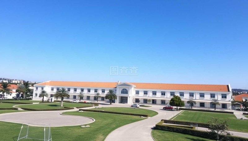 全日制教育与在职教育：两种学习方式的比较